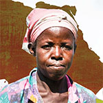 Discover Heifer