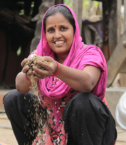 Bindu separates fodder seeds to feed her livestock. Bindu separates fodder seeds to feed her livestock.