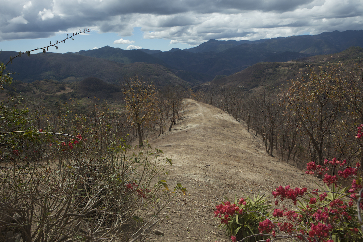 Due to poverty and violence, thousands are leaving their homes in Honduras. Photo by Russell Powell.