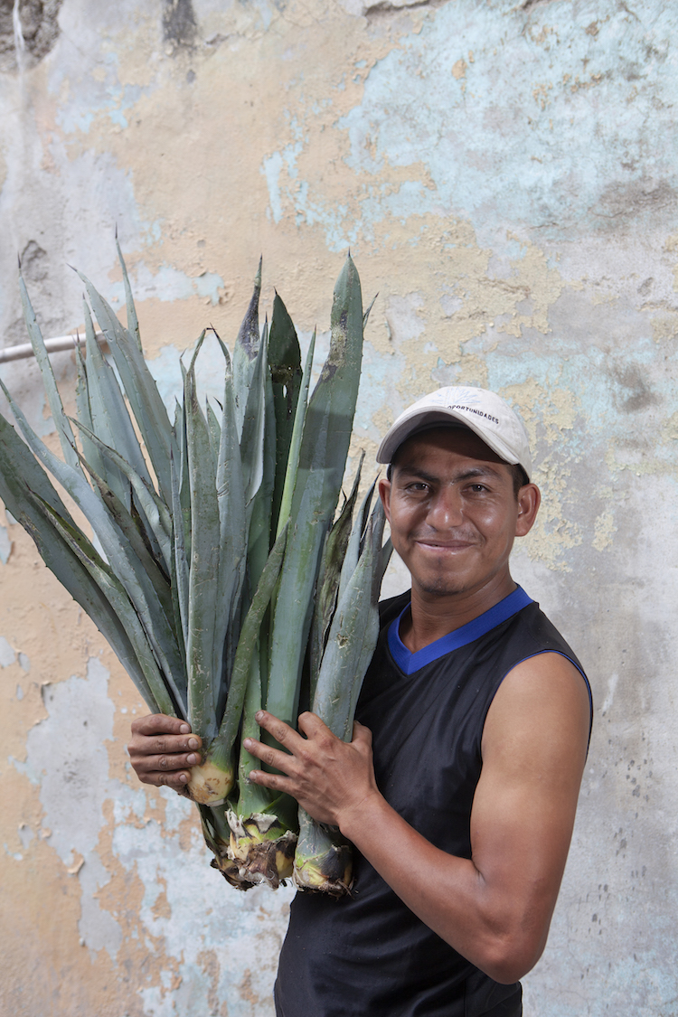 Eliazar Rodriguez Luis, after harvesting agave. Photo by Russell Powell.