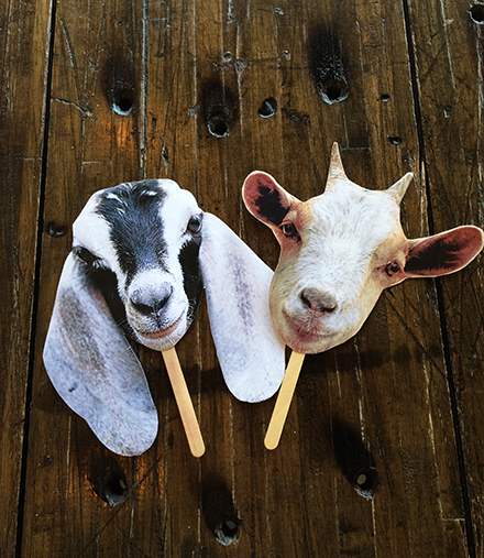 Ta-da! Your very own goat-o-bomb mask! Two finished goat masks