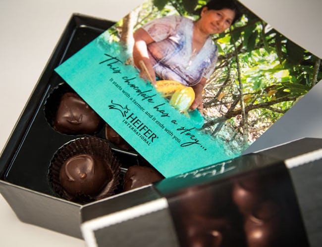 Yum. Assorted chocolates.