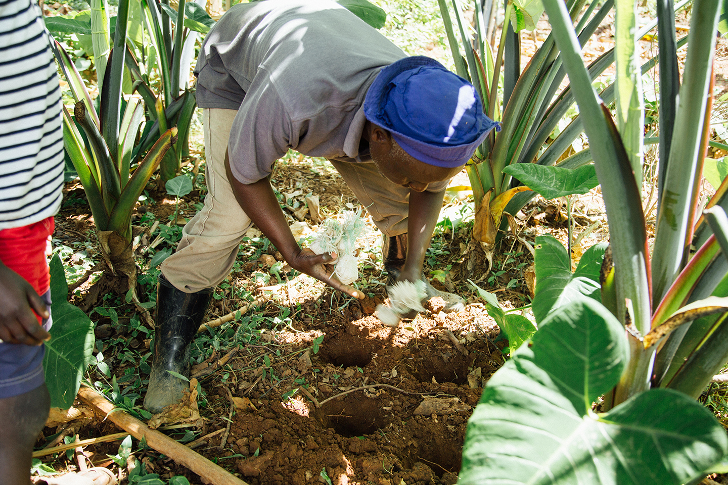Videos & Photos | Heifer International | Charity Ending ...
