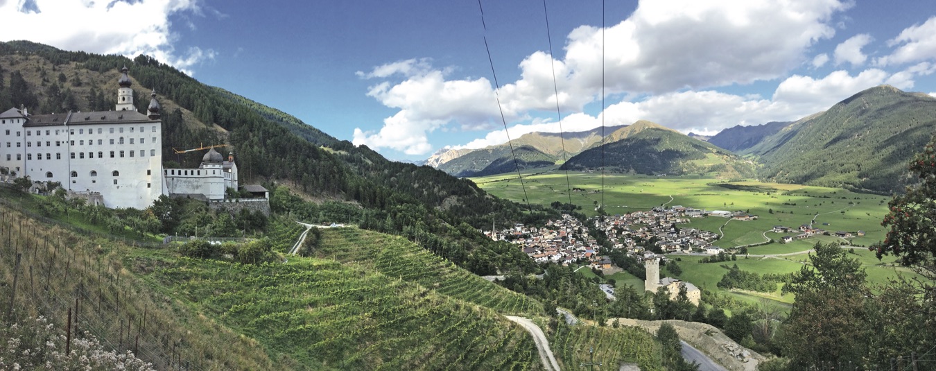 Generations of farmers perfected hillside cultivation. Hillside trellised farmland in Mals.