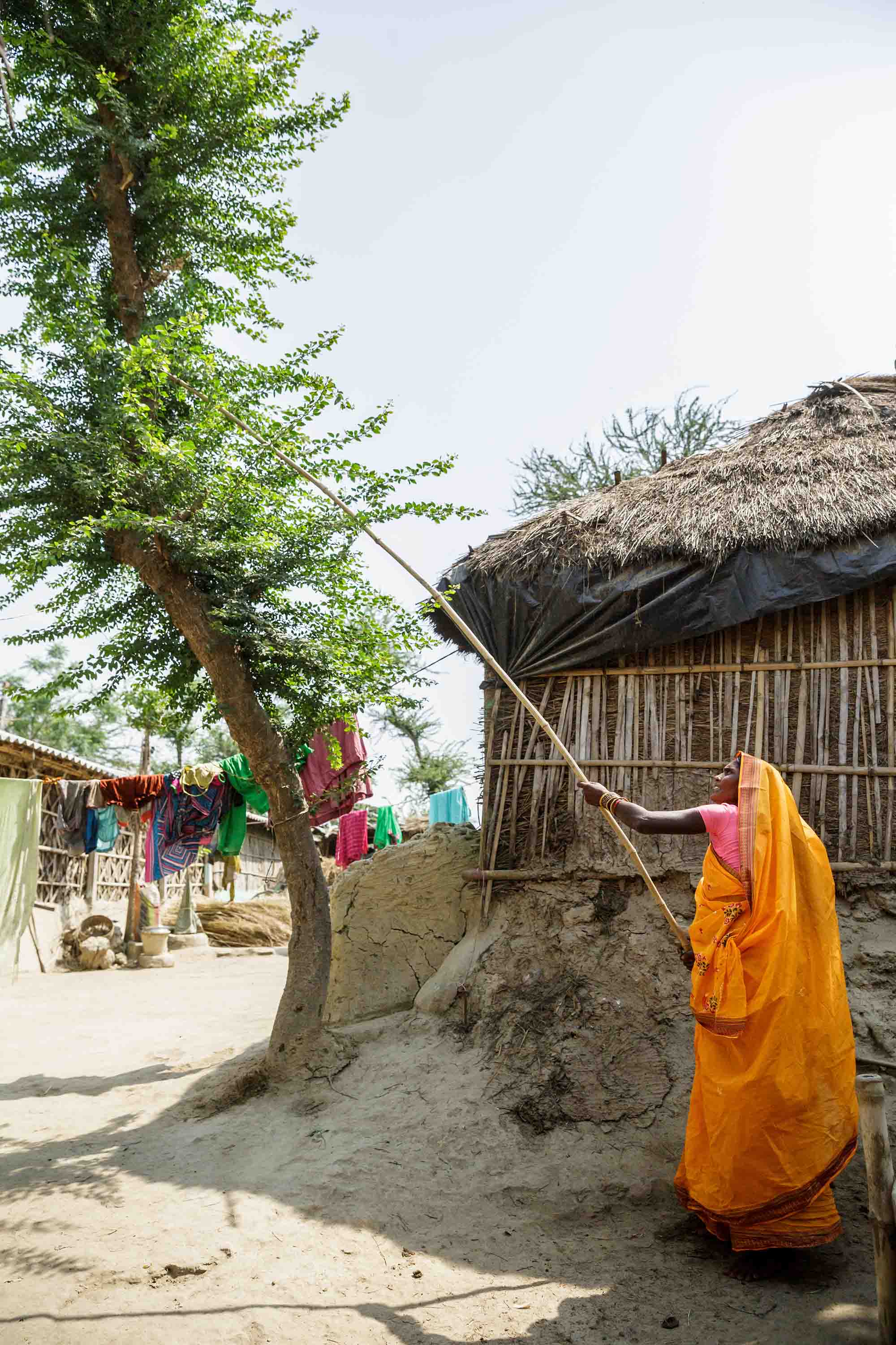 Sharada Devi uses a blade mounted on a long handle to harvest fodder for her goats. Sharada Devi uses a blade mounted on a long handle to harvest fodder for her goats.