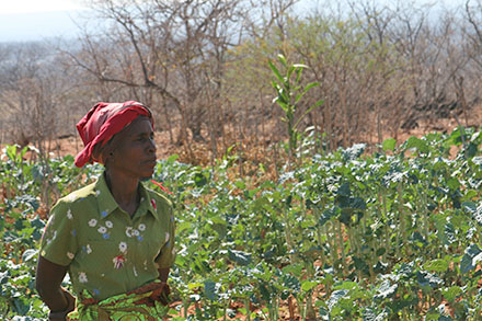 A woman in her field. A woman in her field.