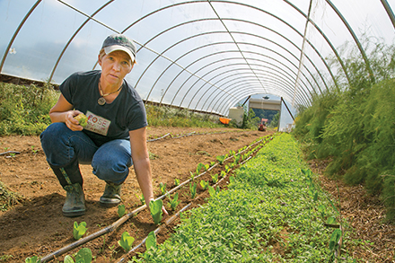 Farmer Ann Rose tends baby greens in her hoop house. Farmer Ann Rose tends baby greens in her hoop house.