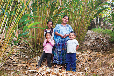 Elvira Pec Beb stands in front of her cardamom plants with three of her children. Elvira Pec Beb stands in front of her cardamom plants with three of her children.