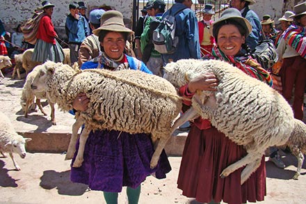 Participants can choose the animals that suit their community's needs. These women in Mexico receive sheep. Women Receive Sheep In Mexico